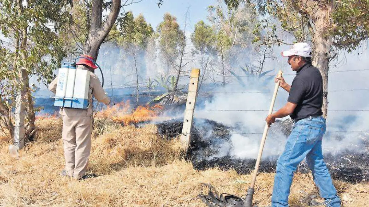 Incendios forestales (3)